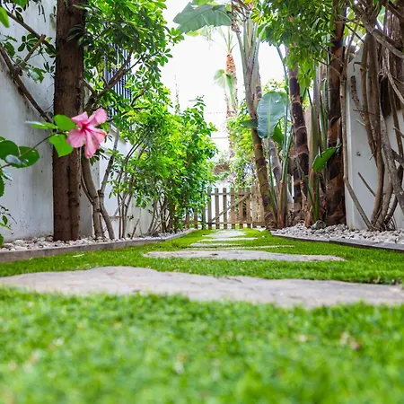 Ab Properties: Design House - Golden Mile Retreat